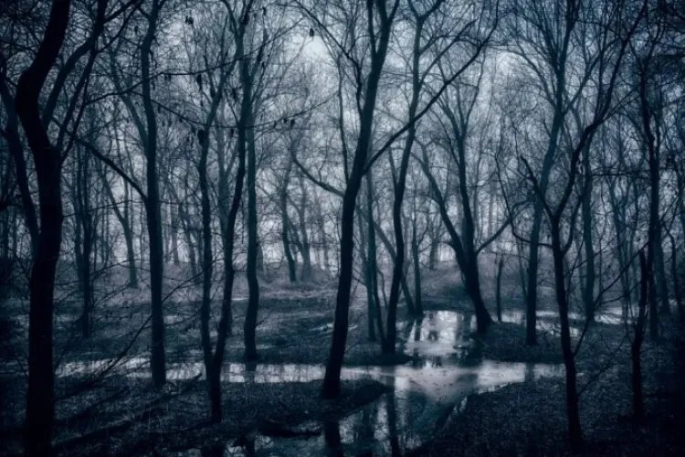 Momente de groază pentru un influencer român în pădurea Hoia-Baciu din Cluj! Nu i-a venit să creadă ce a găsit acolo: „Au fost câteva lucruri ciudate”