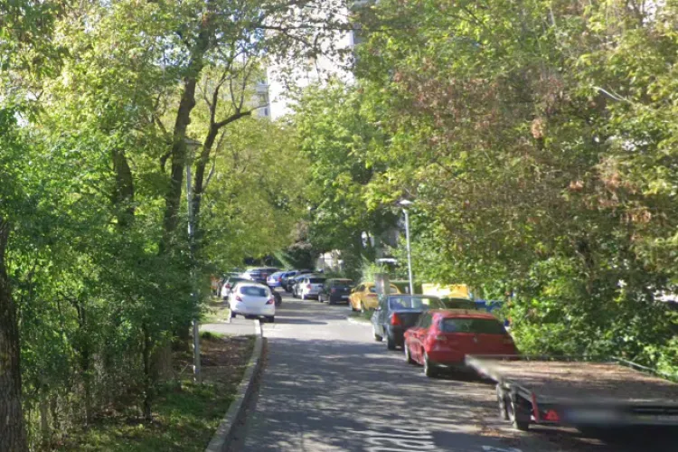 Doi copaci ,,bătrâni și putrezi” pun probleme unor șoferi din Cluj: ,,Stau să cadă pe mașini”