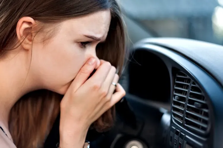 Cluj- Miros de ouă clocite la stația de epurare din Chinteni. Clujenii sunt disperați: „Sunt scurgeri de gaze toxice”