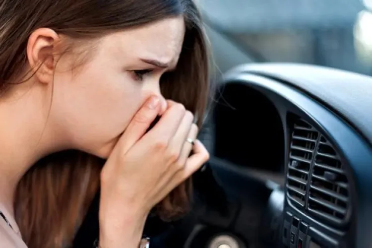 Clujeancă mutată la Sibiu, urmărită de MIROSUL oribil care a terorizat orașul de 5 stele: „Există o groapă de gunoi la câteva sute de metri de autostradă”