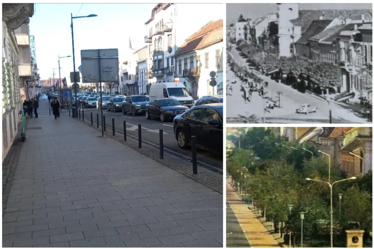 Clujenii cer arbori în centrul Clujului:„Pe Eroilor, pe dreapta, nu este niciun copac”/Primăria: Afectează pereții clădirilor! Imaginile vechi spun altceva