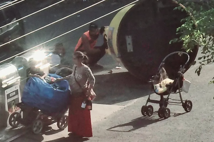 „Reciclatorii” Clujului fac ravagii pe străzile orașului de 5 stele: „Deschid pubelele, le răstoarnă, sar garduri, provoacă deranj și distrugeri”