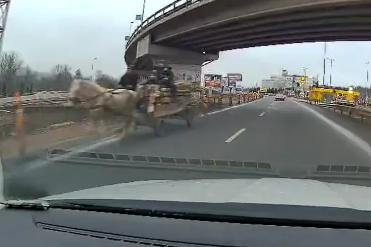 Căruță încărcată cu lemne, surprinsă circulând pe contrasens lângă VIVO Cluj: „Eu știam că Vestul Sălbatic era în altă parte” VIDEO