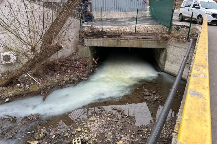 Poluare pe un pârâu din Mănăștur! Activiștii de mediu cer ca Primăria Cluj și Garda de Mediu să facă urgent cercetări - FOTO