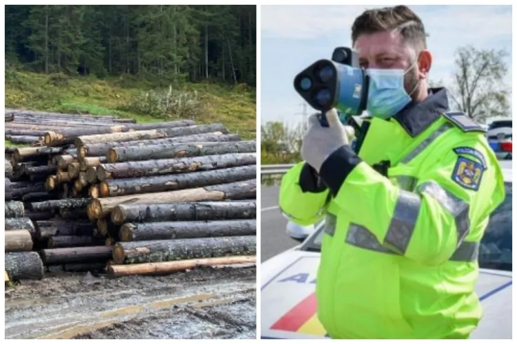 Vitezomanii din Cluj, puși la respect de polițiști! S-au împărțit amenzi de zeci de mii de lei. Hoții de lemne au fost și ei luați în vizor 