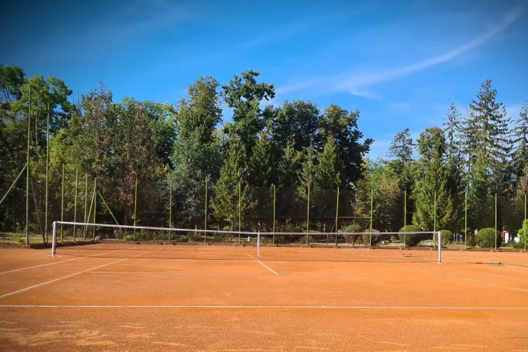 Studenții clujeni jucători de tenis, chemați să formeze o echipă profesionistă