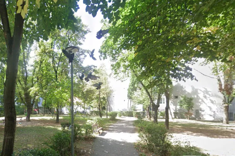 Un clujean, sătul de cei care-și plimbă animalele pe spațiile verzi și le fac praf, cere ca Primăria Cluj să îngrădească tot: ,,A fost călcat în picioare” 