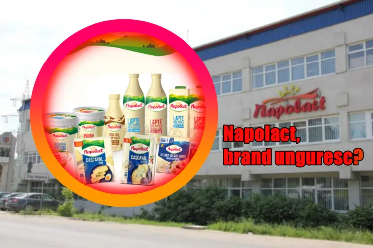 Napolact, cel mai iubit brand de lactate românesc, ar putea deveni ...unguresc! O mare companie din Ungaria, prima pe lista cumpărătorilor Napolact