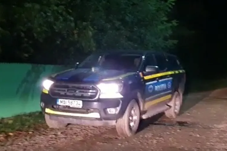 Cruzime de neimaginat! Cățel, găsit mort pe un câmp din Cluj, cu multiple răni la cap. Poliția a deschis dosar penal pentru uciderea animalului