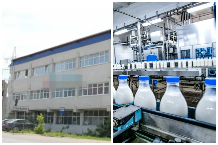 Cel mai iubit brand de lactate din Cluj, la un pas să fie vândut! Cine vrea să cumpere afacerea 