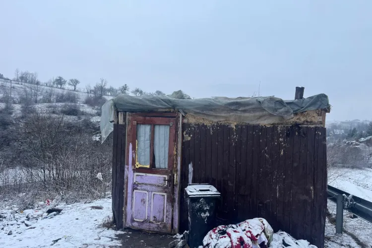 Au nevoie de ajutor! Șase copii dintr-o comună din Cluj, alături de mama lor de 21 de ani, locuiesc într-o cocioabă. Campanie pentru construire unei căsuțe