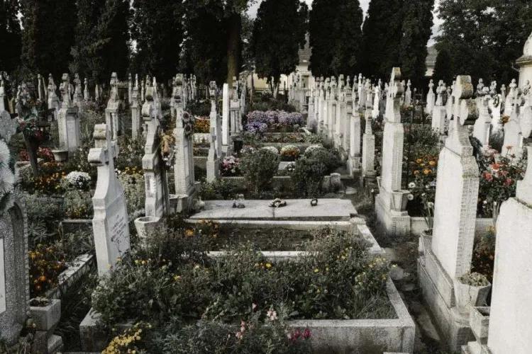 Cluj- Mormanele de deșeuri iau locul florilor în Cimitirul Mănăștur! Oamenii sunt revoltați: „Toată verdeața e ocupată de gunoaie. O dezamăgire”