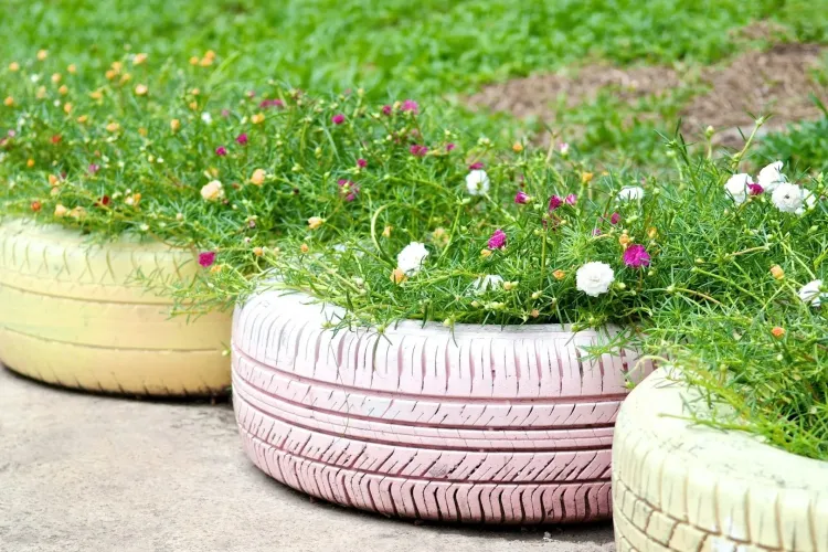 Noua modă din Cluj. ,,Ghivece” improvizate din cauciucuri de mașină: ,,Sunt de la primărie? Sau oricine poate să amenajeze” 