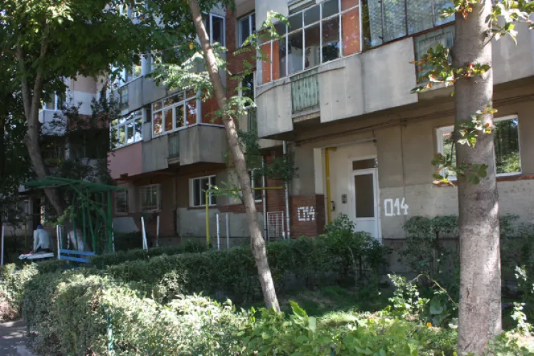 Situație hilară într-un bloc din Cluj. O viță de vie, întreținută de o vecină, a devenit coșmarul unui bărbat: ,,Afectează calitatea vieții în apartament”