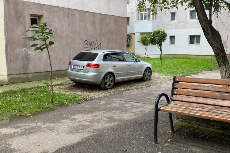 Șmecheria se penalizează la Cluj! Un șofer a pavat spațiul verde cu PIETRIȘ ca să-și protejeze bolidul, dar a primit o amendă usturătoare