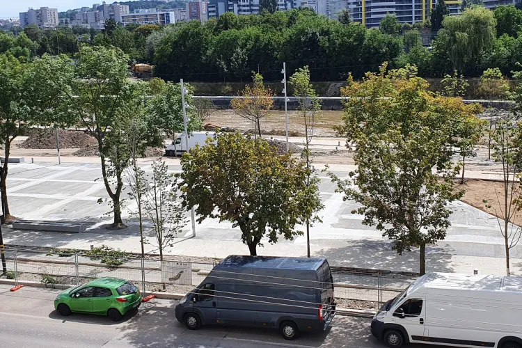 O clujeancă a ajuns la căpătul puterilor și-l atacă pe Emil Boc: „De ce ne-ați distrus spațiul verde?” 