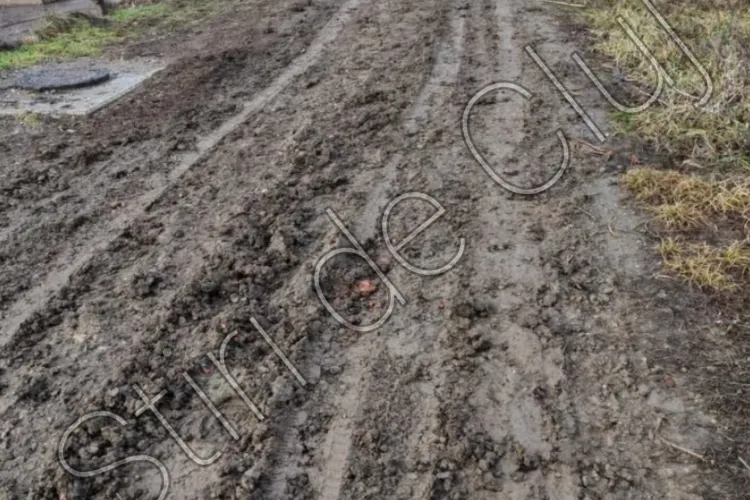 Coșmarul prin care o familie din Cluj trece în fiecare zi. Sunt nevoiți să facă naveta prin noroi și murdărie: ,,Îndur zilnic” - FOTO