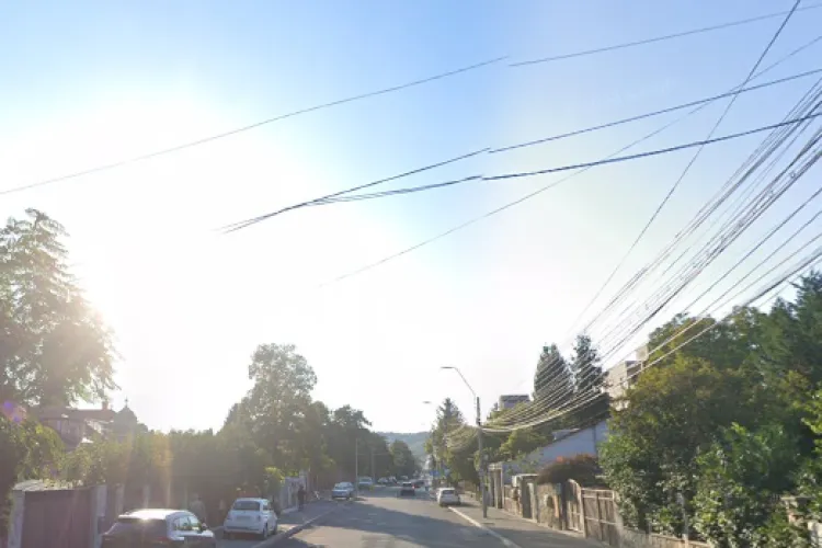 Locuitorii unei străzi din Cluj, îngroziți că ar putea fi loviți oricând de șoferii vitezomani! O pisicuță n-a reușit să scape: ,,E ca pe o pistă de raliu”