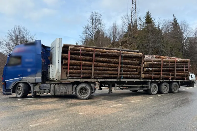 Transporturi ilegale de lemne, depistate pe drumurile din Cluj! Polițiștii au împărțit amenzi de peste 16.000 de lei - FOTO 