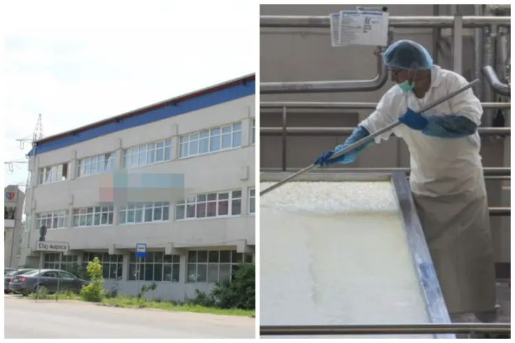 Companie mondială, ce deține cel mai iubit brand de lactate de către clujeni, testează VÂNZAREA AFACERILOR din România. A apelat la un gigant