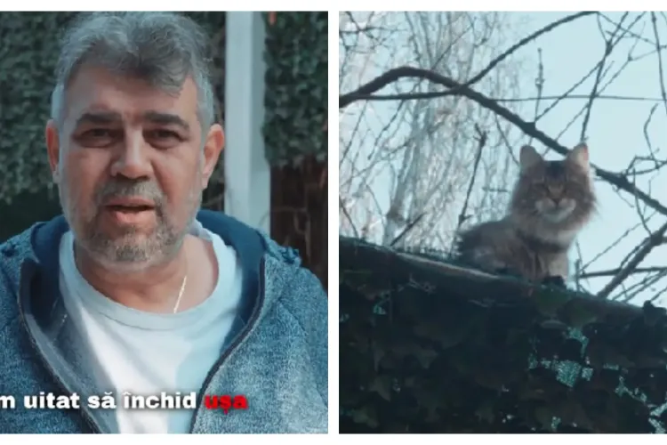 Marcel Ciolacu și-a salvat pisica dintr-un copac! Videoclipul a devenit viral pe TikTok: „Pe noi când ne salvaţi?” - VIDEO