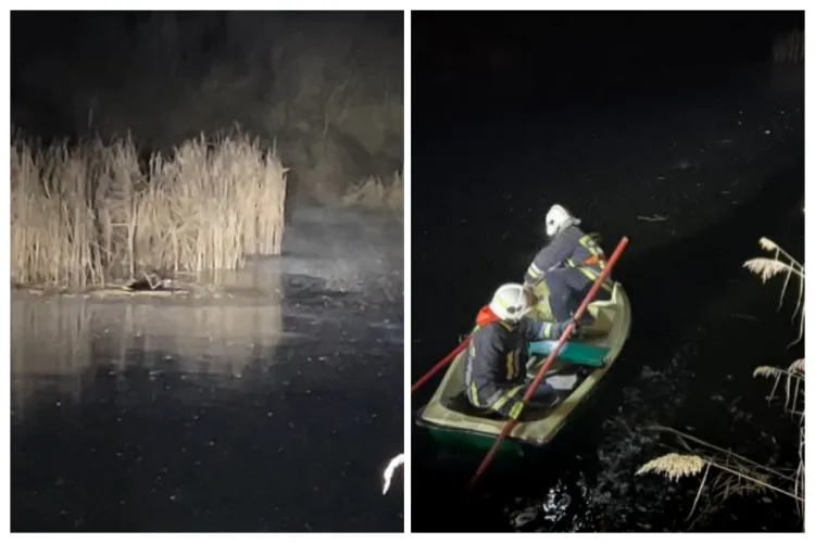 O cățelușă prinsă în sloiurile de gheață la Gherla s-a chinuit să se salveze. Pompierii clujeni s-au luptat și ei să o scoată. Finalul, dramatic! VIDEO