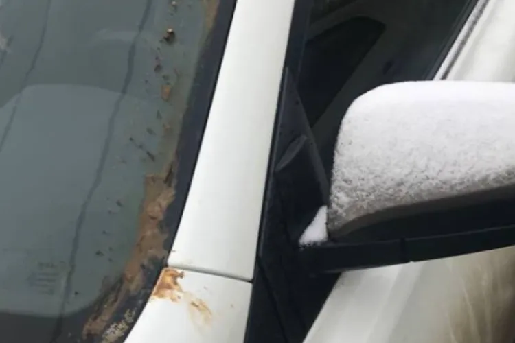 Un șofer care și-a parcat mașina pe o stradă din Cluj s-a trezit cu cea mai urâtă ,,surpriză”: ,,Fecale pe portiere, pe geamuri, o găleată de chiștoace”