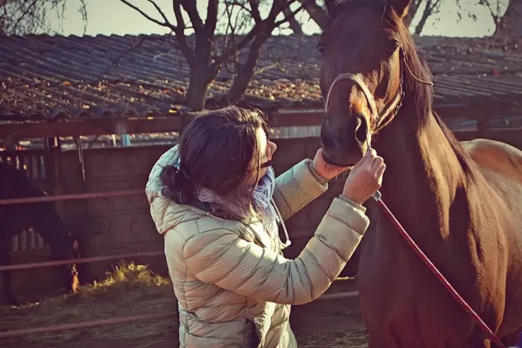 Premiera pentru medicina veterinară! O conferențiară din Cluj a devenit primul diplomat român al Colegiului European de Medicină Internă Ecvină - FOTO