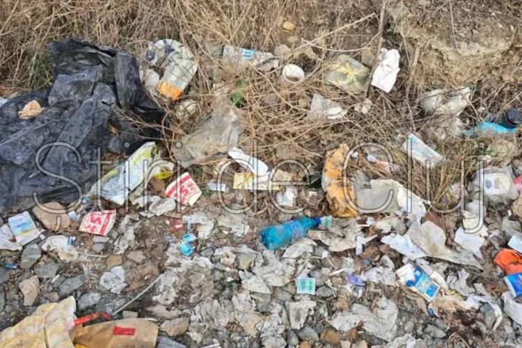 Clujenii sunt nevoiți să parcheze ,,pe un drum plin de gropi și cu o mizerie de nedescris” la DRPCIV Cluj: ,,O uliță de la țară arată mai bine” - FOTO