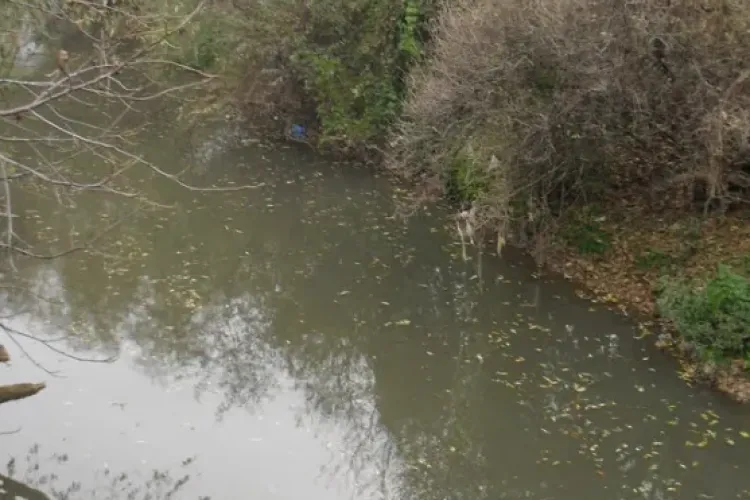 Miros insuportabil în apropierea unui râu din Cluj-Napoca! Oamenii se plâng și de mizeria din zonă: ,,E plin de deșeuri și depuneri de vegetație”