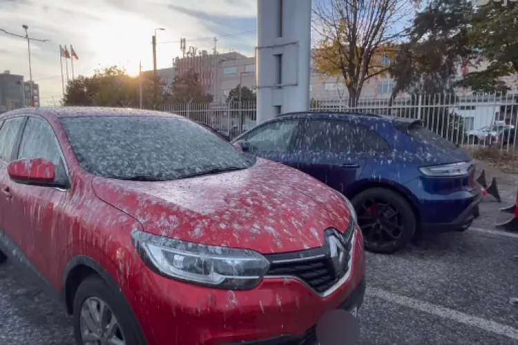 Mașina unui clujean, „vandalizată” de porumbei: „În fiecare zi o găsesc plină de găinaț” / „Tot plafonul este zgâriat”