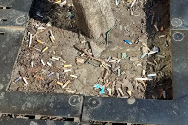 Clujul ,,civilizat” lovește din nou! Copacii din Cluj sunt ,,fertilizați” cu mucuri de țigară. Le e lene să meargă până la coș?  - FOTO 