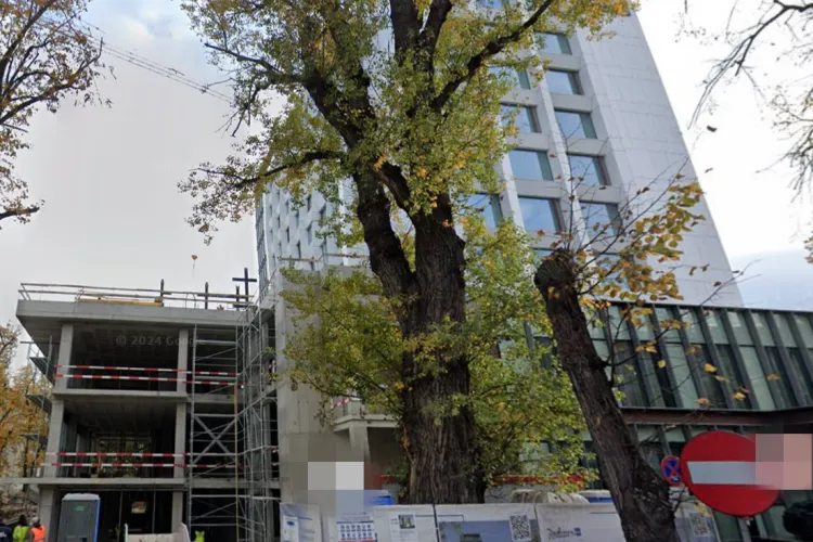 Un clujean luptă pentru viață după ce a căzut de la înălțime pe Aleea Stadionului, din Cluj-Napoca! E în stare gravă la spital, ventilat mecanic