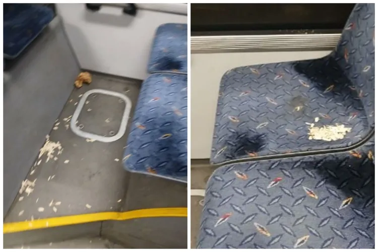 Clujenii se revoltă împotriva celor care fac mizerie în autobuzul M41: Din cauza „valorilor locale” nu primim autobuze bune