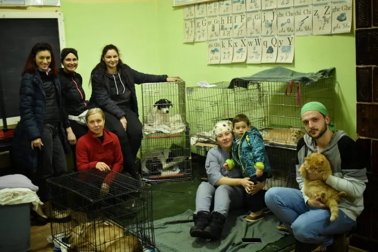 Premieră în zona de munte a Clujului! Pisicile și cățelușii au fost sterilizați GRATUIT: ,,Intenționăm să organizăm și alte campanii” - FOTO 