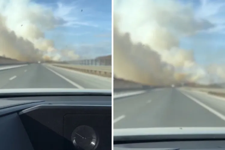 Incendiu de vegetație devastator în Cluj! Fumul dens a ajuns pe Autostrada Transilvania / Pompierii intervin de urgență VIDEO