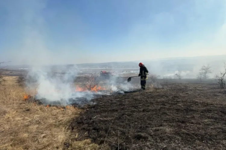 Incendiu de proporții în Cluj-Napoca! Flăcările au mistuit 2 hectare de vegetație uscată. Ce amezi URIAȘE riscă cei care ard resturile de vegetație -VIDEO 