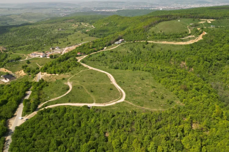 Acțiune de ecologizare a unui pârâu din Ciurila. Clujenii sunt invitați să-și ia copiii cu ei în natură