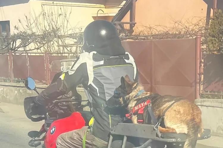  Scenă înduioșătoare în traficul din Cluj! Imagini virale cu un câine, nelipsit de la plimbările stăpânului cu motocicleta