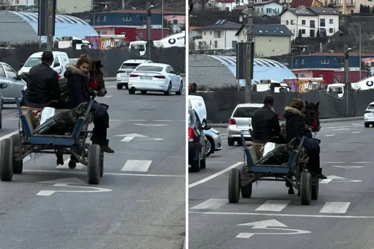 Scene șocante în Cluj! Câine legat de o căruță, surprins în timp ce se zbătea să scape, pe Bulevardul Muncii: „Plângea disperat, era speriat”