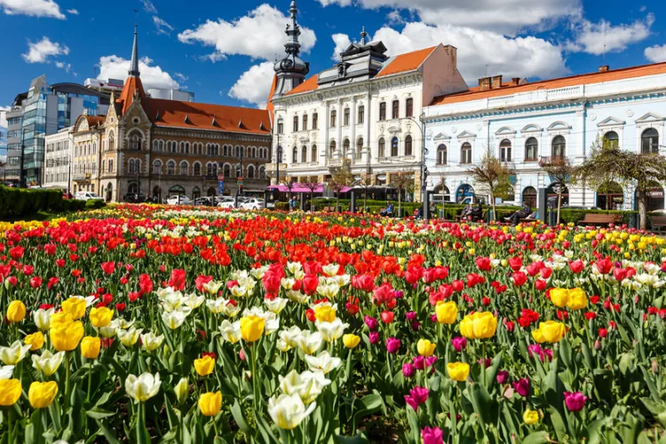 Zi de primăvară autentică în Cluj! Iarna a devenit o amintire! Sunt așteptate temperaturi de 16 grade