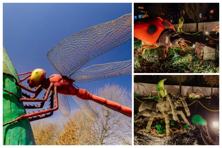 Fluturi gigant de 3 metri, tarantule uriașe și molii supradimensionate la Cluj! Descoperă expoziția „Giant Bugs” de la Iulius Mall