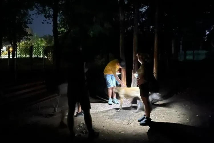 Clujenii, forțați să meargă pe întuneric printre gropi și capcane: „Seara devine foarte periculos” 