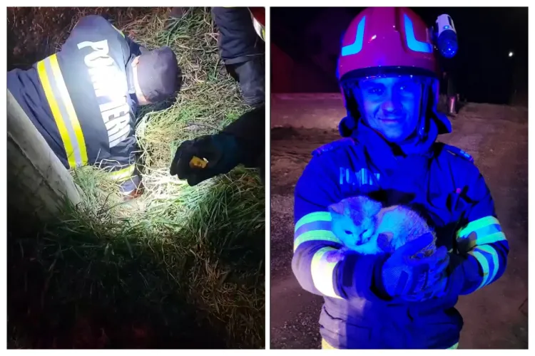 VIDEO emoționant: Pisicuța salvată de pompierii clujeni după ce a rămas blocată într-o țeavă. Au săpat un metru adâncime să ajungă la ea