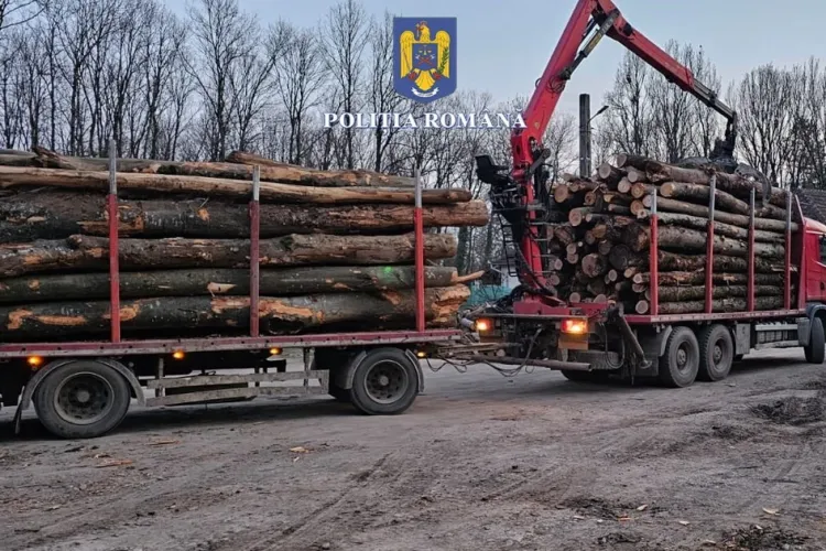 Lovitură uriașă pentru mafia lemnului! Garda Forestieră Cluj a confiscat material lemnos în valoare de 60.000 de lei / S-au dat peste 100 de amenzi