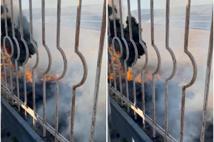Incendiu la ieșirea din Cluj-Napoca! Flăcările sunt periculos de aproape de un parc de panouri fotovoltaice VIDEO