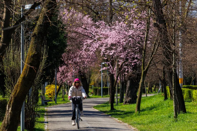 Un 8 Martie cu vreme perfectă la Cluj! Meteorologii au anunțat temperaturi de 18 grade Celsius 