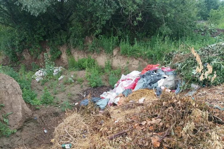 O clujeancă vrea să scape de oamenii fără adăpost: „Își fac tabere improvizate”, „Se tot muta dintr-un loc în altul”