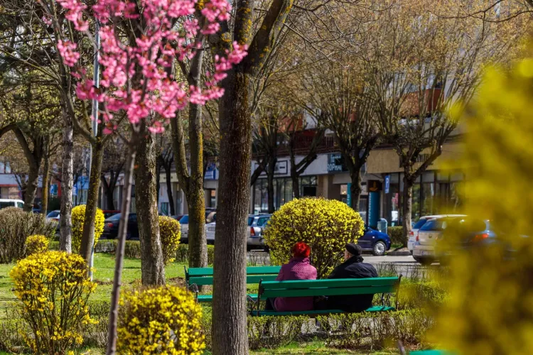 Zi de primăvară autentică în Cluj-Napoca! Meteorologii au anunțat temperaturi de până la 18 grade Celsius