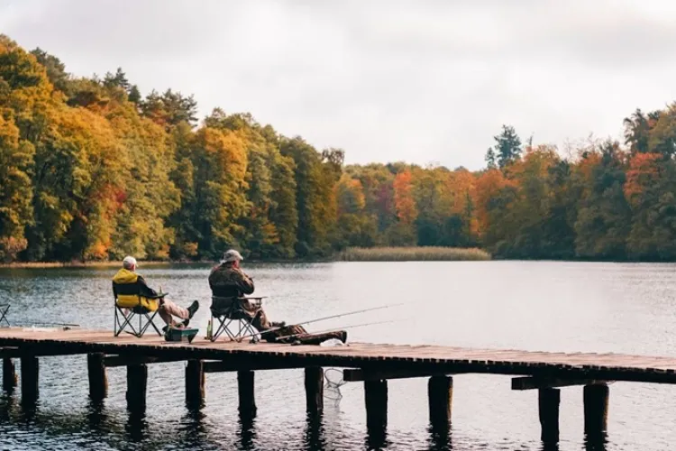 Method feeder la răpitori: mit sau realitate?